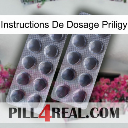 Priligy Dosage Instructions 31
